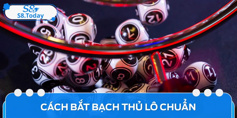 Hướng Dẫn Cách Bắt Bạch Thủ Lô Chuẩn Hiệu Quả Cho Tay Mơ 1 Hướng Dẫn Cách Bắt Bạch Thủ Lô Chuẩn Hiệu Quả Cho Tay Mơ